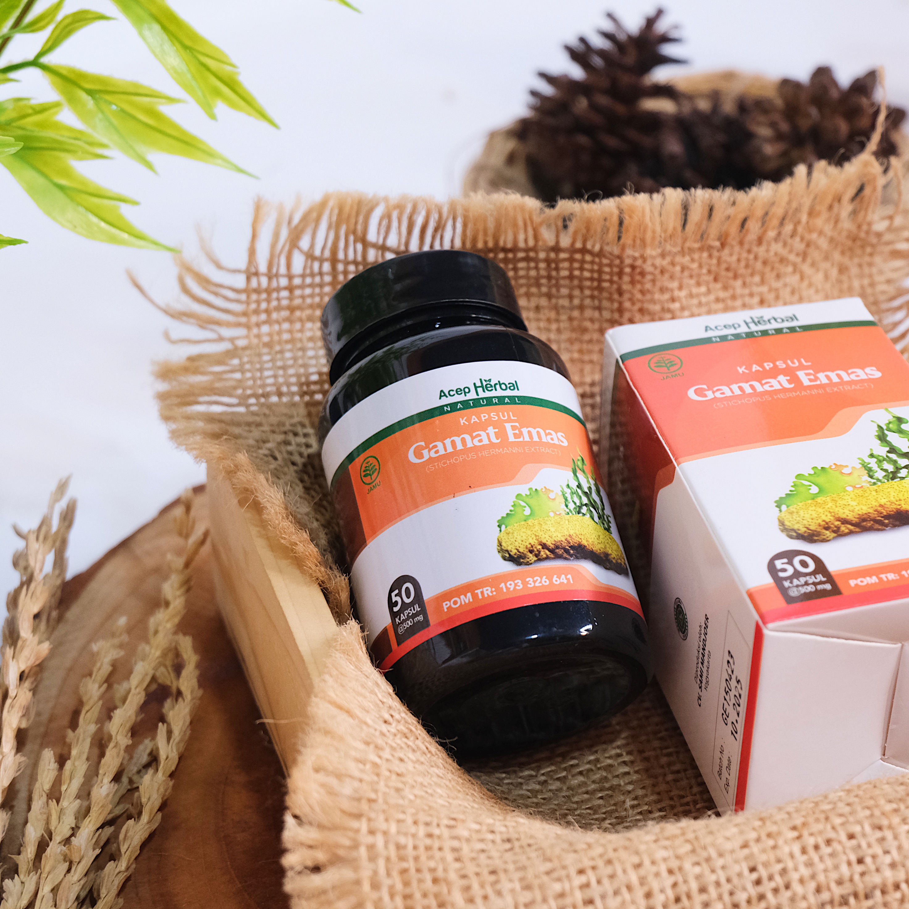 Kapsul Gamat Emas Original Obat Multi Khasiat 100% Ekstrak Teripang Emas Tanpa Efek Samping Sudah BPOM dan Halal MUI 4